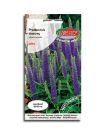 przetacznik-klosowy-niebieski-piekny-nasiona