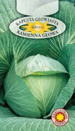 kapusta-glowiasta-biala-kamienna-glowa-nasiona