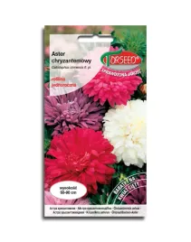 aster-chryzantemowy-mieszanka-nasiona