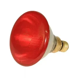 zarowka-lampa-grzewcza-100w-promiennik-kwoka-kerbl