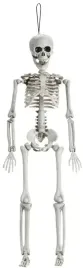 dekoracja-szkielet-czlowieka-kosciotrup-kosci-wiszacy-halloween-40cm