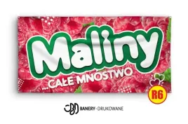 baner-reklamowy-2x1-projekt-gratis-jagody-maliny-solidny-mocny