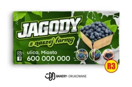 baner-reklamowy-2x1-projekt-gratis-jagody-maliny-solidny-mocny