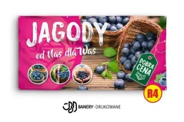 baner-reklamowy-2x1-projekt-gratis-jagody-maliny-solidny-mocny
