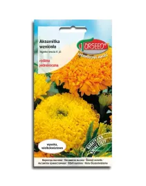 aksamitka-wysoka-mix-mieszanka-nasiona