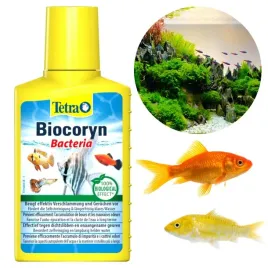 bakterie-plyn-usuwajacy-odchody-zanieczyszczenia-w-akwarium-biocoryn-100ml