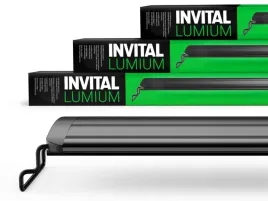 invital-lumium-wrgb45-40-cm-11w