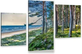 tryptyk-obraz-na-sciane-canvas-do-sypialni-morze-baltyk-plaza-las-morze