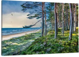 obraz-do-sypialni-salonu-na-plotnie-morze-baltyk-plaza-las-morze-120x80