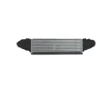 intercoolery-do-ford-mustang-2024-2716528