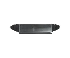intercoolery-do-ford-mustang-2024-2716528