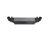 intercoolery-do-ford-mustang-2024-2716528