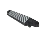 intercoolery-do-ford-mustang-2024-2716528