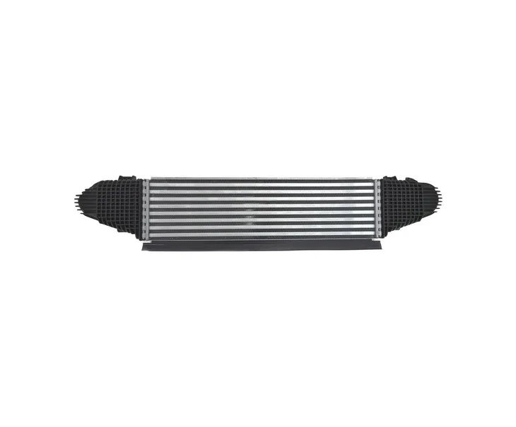 intercoolery-do-ford-mustang-2024-2716528