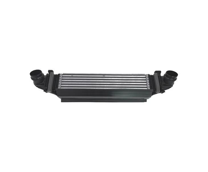 intercoolery-do-ford-mustang-2024-2716528