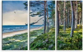 tryptyk-obraz-na-sciane-do-salonu-sypialni-morze-baltyk-plaza-las-morze