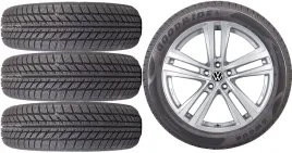 nowe-kola-zima-vw-t-roc-goodride-205-60r16