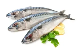 makrela-cala-2-sztuki-900g-idealna-na-grilla
