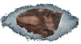 halibut-tusza-bez-glowy-14kg-suchy-lod