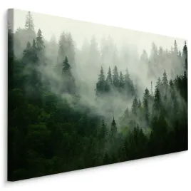 obraz-na-plotnie-las-we-mgle-drzewa-na-sciane-do-salonu-sypialni-120x80