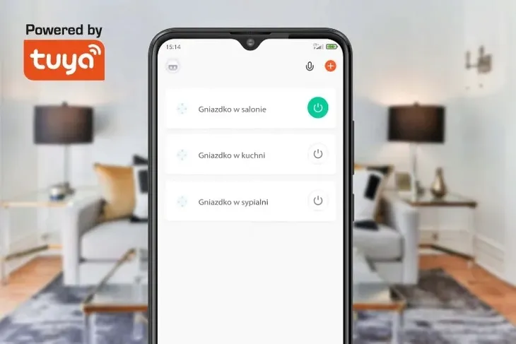 gniazdo-smart-tuya-wifi-connect-p3-programator-watomierz-krugerandmartz-rodzaj-gniazdko
