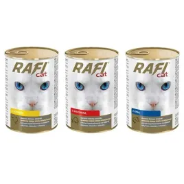 rafi-cat-mokra-karma-dla-kota-mix-smakow-24x415g