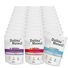 dolina-noteci-junior-mix-smakow-30x300g