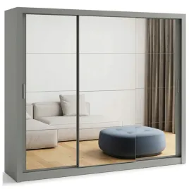 duza-szafa-przesuwna-z-lustrem-do-przedpokoju-250-cm-szara-id-01-3l