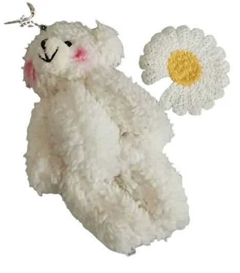 mis-kwiatek-teddybloom