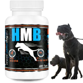 game-dog-hmb-120-tabs-rozbudowa-miesni-regeneracja-wyniki-treningowe