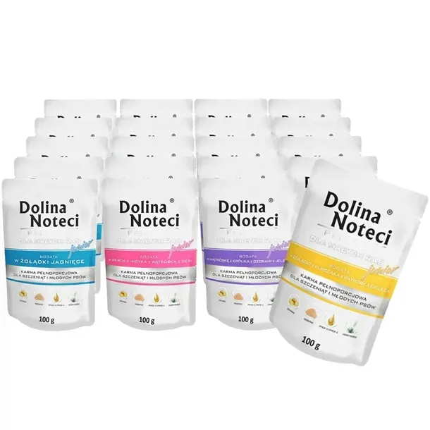 Dolina Noteci Junior Małe Rasy MIX SMAKÓW 20x100g