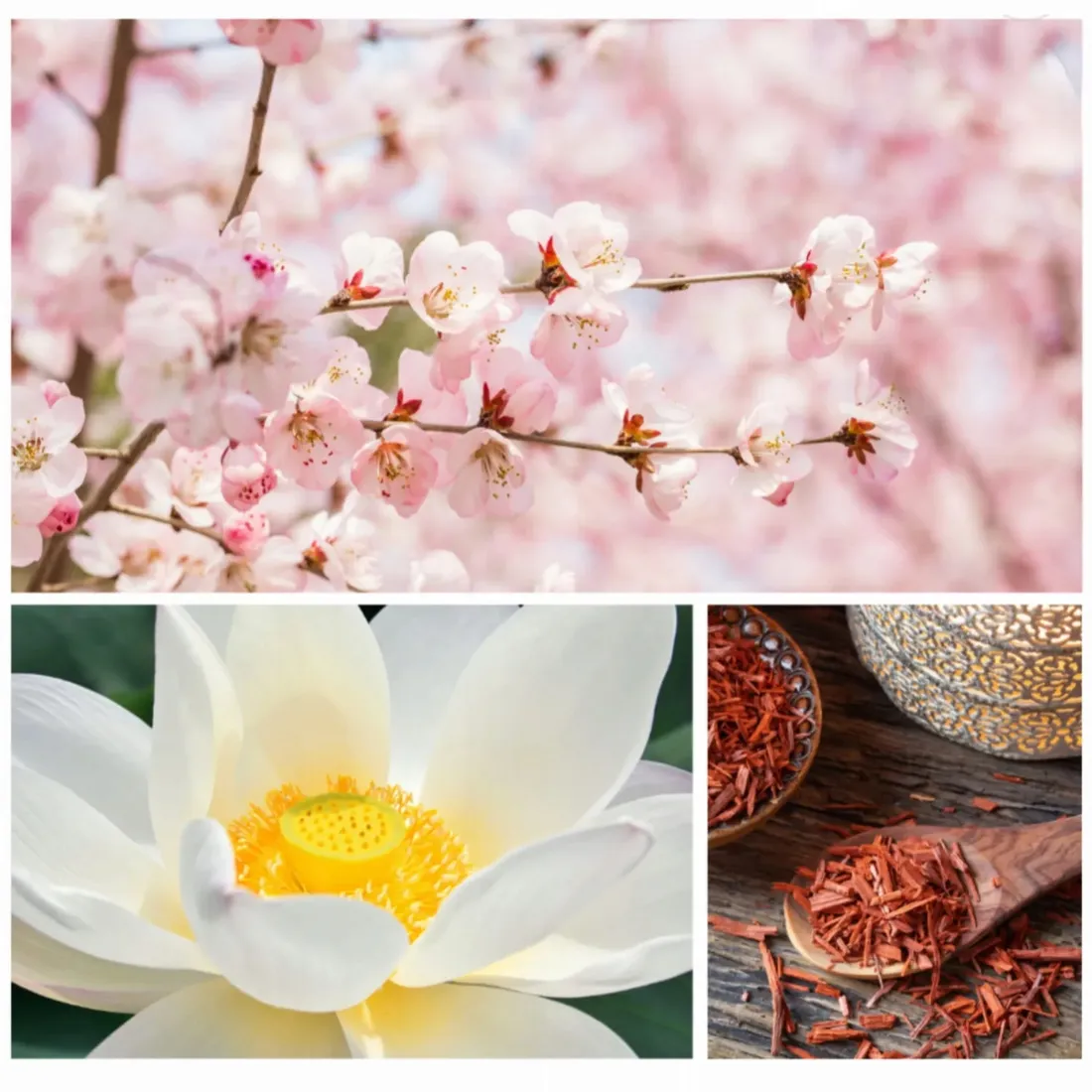 dresdner-essenz-make-a-wish-puder-do-kapieli-60g