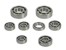 nowe-lozysko-silnika-mz-etz250-etz251-etz300-etz301-zestaw-8-sztuk-silnik