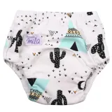 simed-majtki-treningowe-premium-tipi-marka-simed