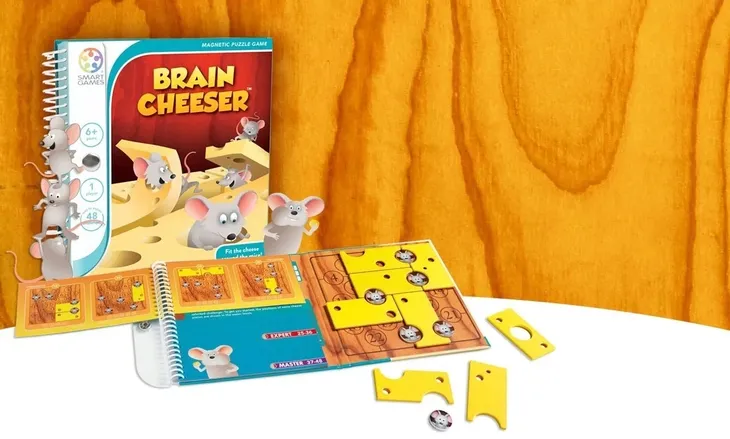 dziura-w-calym-smart-games-jezyk-instrukcji-polska