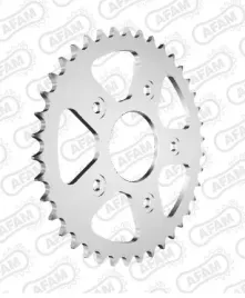 zebatka-tyl-tylna-afam-aprilia-rs-tuono-125-40z