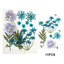 naturalne-suszone-kwiaty-do-zywicy-epoksydowej-k13