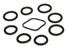 uszczelki-kolektora-ssacego-ford-focus-mk2-1-6-tdci-peugeot-1-6-hdi