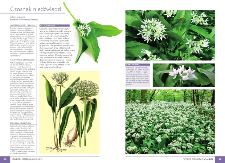 atlas-ziol-jezyk-polski