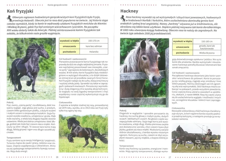 atlas-koni-rodzaj-konie