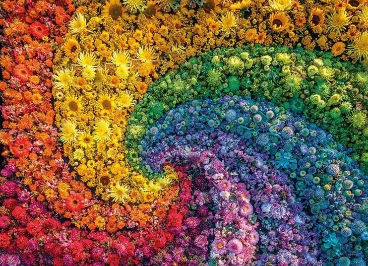 puzzle-1000-compact-colorboom-collection-kod-producenta-39779