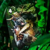 muduko-ryki-afryki-gra-karciana-autor-praca-zbiorowa