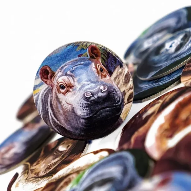 muduko-ryki-afryki-gra-karciana-stan-nowy-okladka-miekka