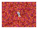 puzzle-1000-impossible-puzzle-frozen-2-stan-nowy