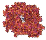 puzzle-1000-impossible-puzzle-frozen-2-kolekcja-impossible-puzzle