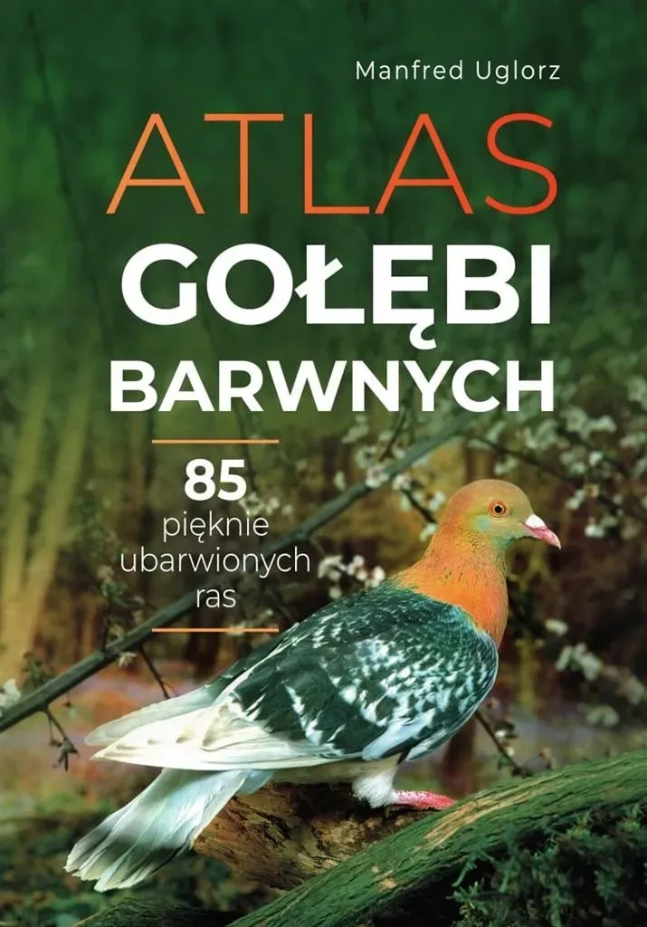 atlas-golebi-barwnych