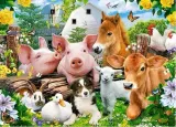 puzzle-60-farm-friends-castor-stan-nowy