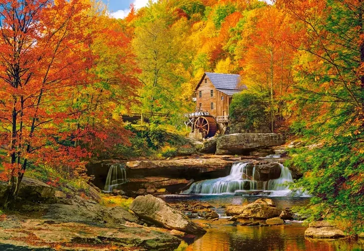puzzle-1000-magical-autumn-castor-kod-producenta-104864