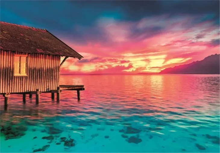 puzzle-500-peace-collection-living-the-present-kolekcja-peace