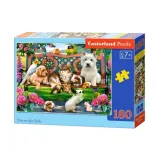 puzzle-180-pets-in-the-park-castor-stan-nowy